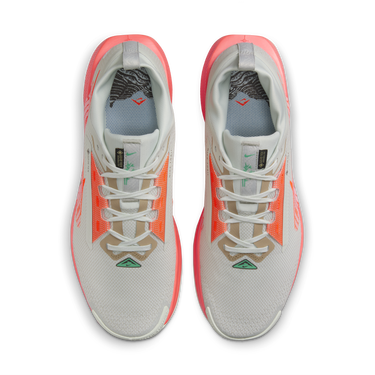 Tenisky a topánky Nike Pegasus Trail 5 GORE-TEX Šedá | FQ0908-004, 2