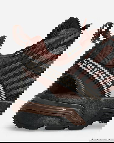 Tenisky a topánky Salomon ACS Pro GORE-TEX Hnedá | L47736400, 6