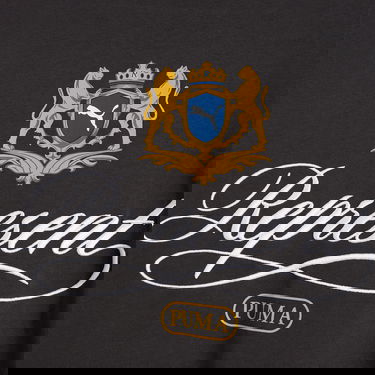 Tričko Puma REPRESENT Graphic T-Shirt Šedá | 632544-97, 2