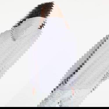 Mikina Thrasher Thrasher Flame Logo Hoody Šedá | 113102GY, 3