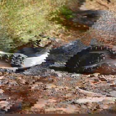 Tenisky a topánky adidas Performance adidas TERREX Čierna | IE8453, 4