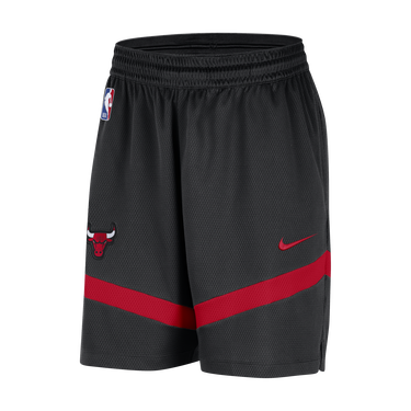 Šortky Nike Dri-FIT NBA Chicago Bulls Icon Practice Čierna | FB4018-010, 0