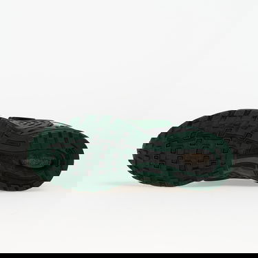 Tenisky a topánky Nike Air Pegasus Wave Zelené | IB0612-301, 1