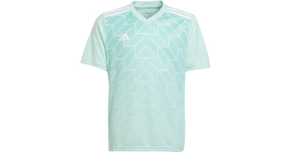 Dres adidas Originals Team Icon 23 Jersey Tyrkysová | ic1255, 1