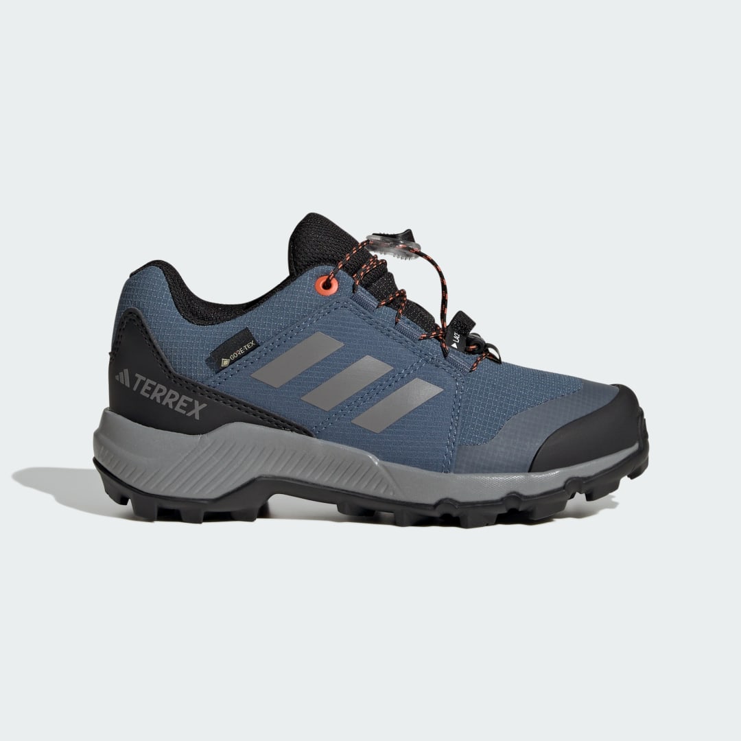 Tenisky a topánky adidas Performance Terrex GORE-TEX Hiking Shoes Modrá | JI1358, 0