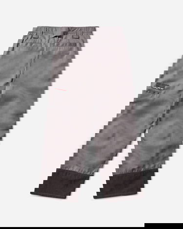 Nohavice Vans Act of Disagreement A-Abrasion Pants Šedá | VN000RPTFLC1, 2