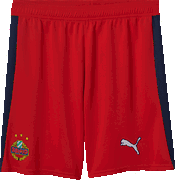 SK Rapid Wien Away Shorts 2025/26
