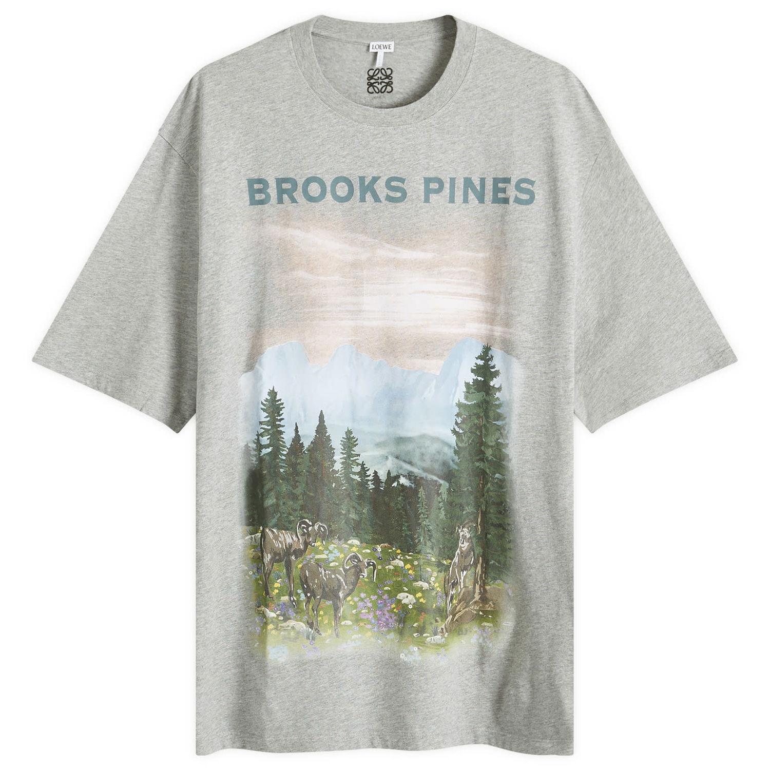 Tričko Loewe Mountain Graphic T-Shirt Šedá | H526Y22XBB-1440, 0
