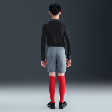 Šortky Nike Dri-FIT Academy 25 Shorts Šedá | hj3718-066, 3