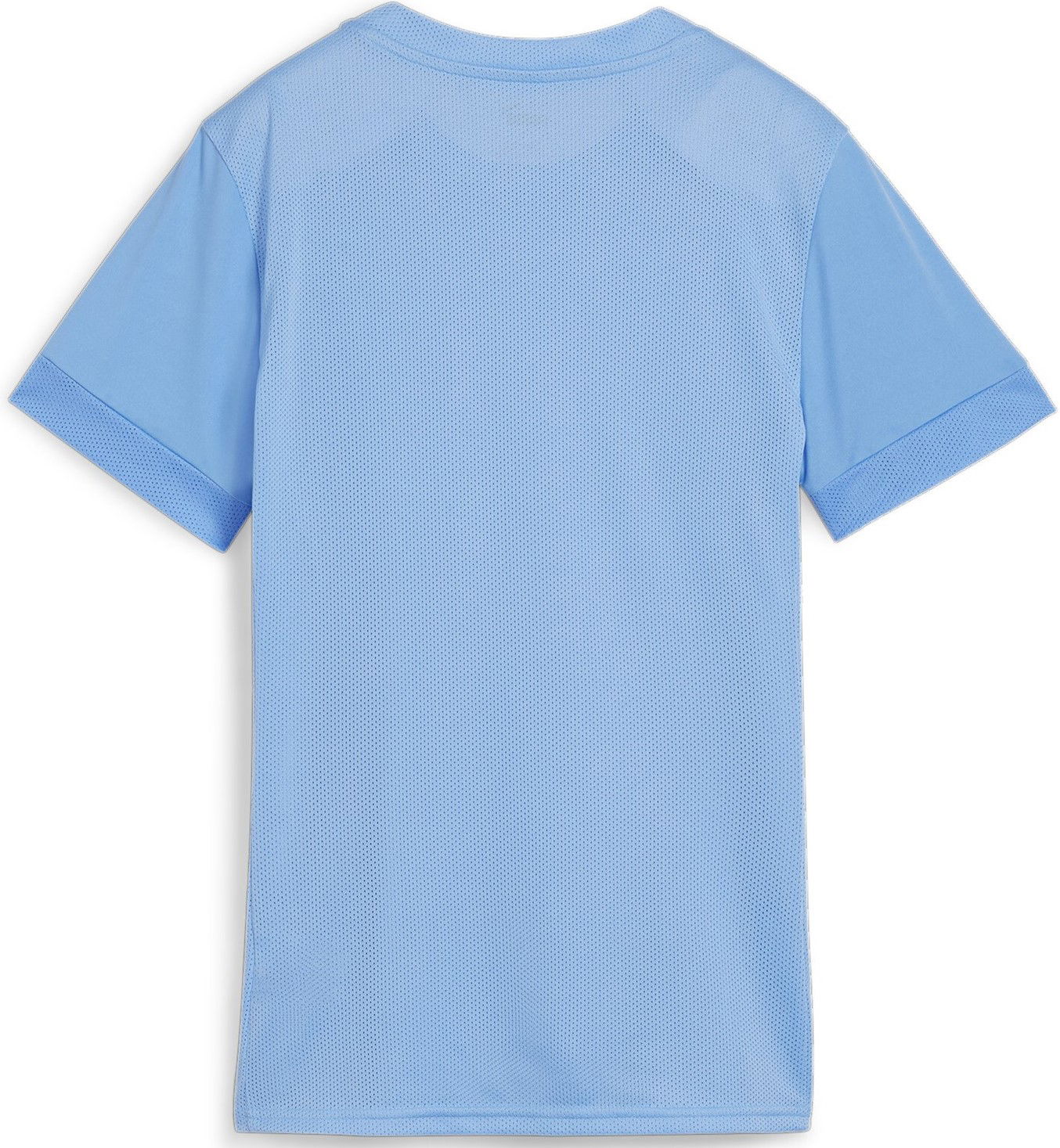Dres Puma teamGOAL Matchday Jersey Wmns Modrá | 705749-18, 1