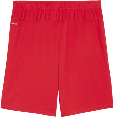 Šortky Puma teamGOAL Shorts Červená | 705752-01, 1
