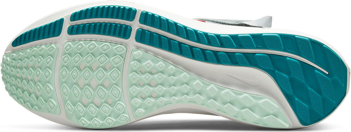 Tenisky a topánky Nike Air Zoom Pegasus 39 FlyEase Modrá | dj7382-002, 1