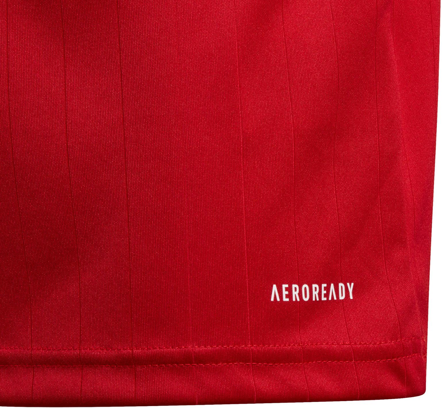 Y Tabela 18 Jersey LS