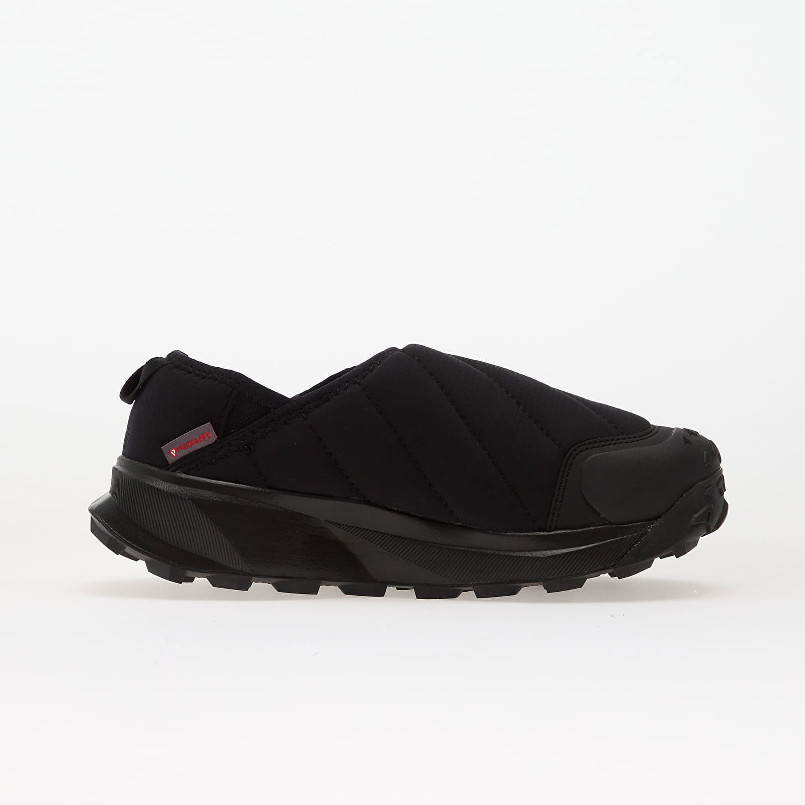 Terrex Winter