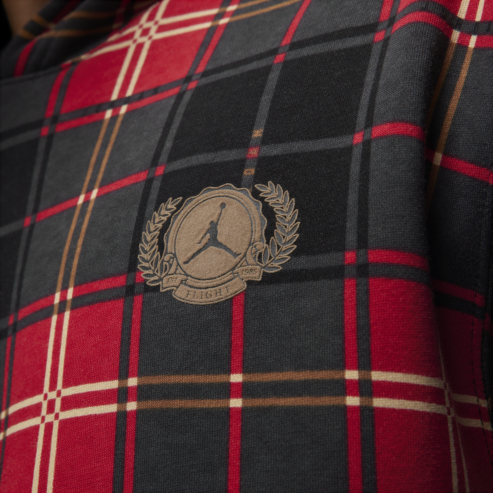 Air Jordan Check Logo Popover Hoody