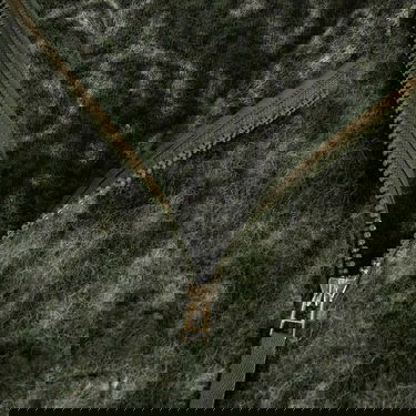 Bomber bunda Universal Works Snug Fuzzy Bomber Jacket Zelené | P33104ND, 6