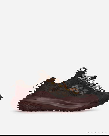 Tenisky a topánky Nike ACG Mountain Fly 2 Low GORE-TEX Hnedá | HF6245-200, 0