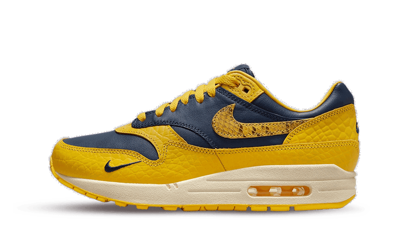 Tenisky a topánky Nike Air Max 1 CO.JP Michigan Žltá | FJ579410