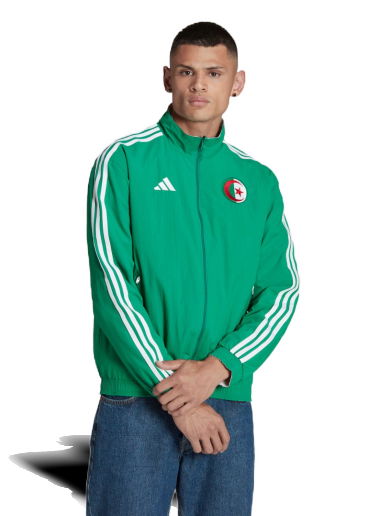 Bunda adidas Originals Algeria Anthem Jacket Zelené | HF1464