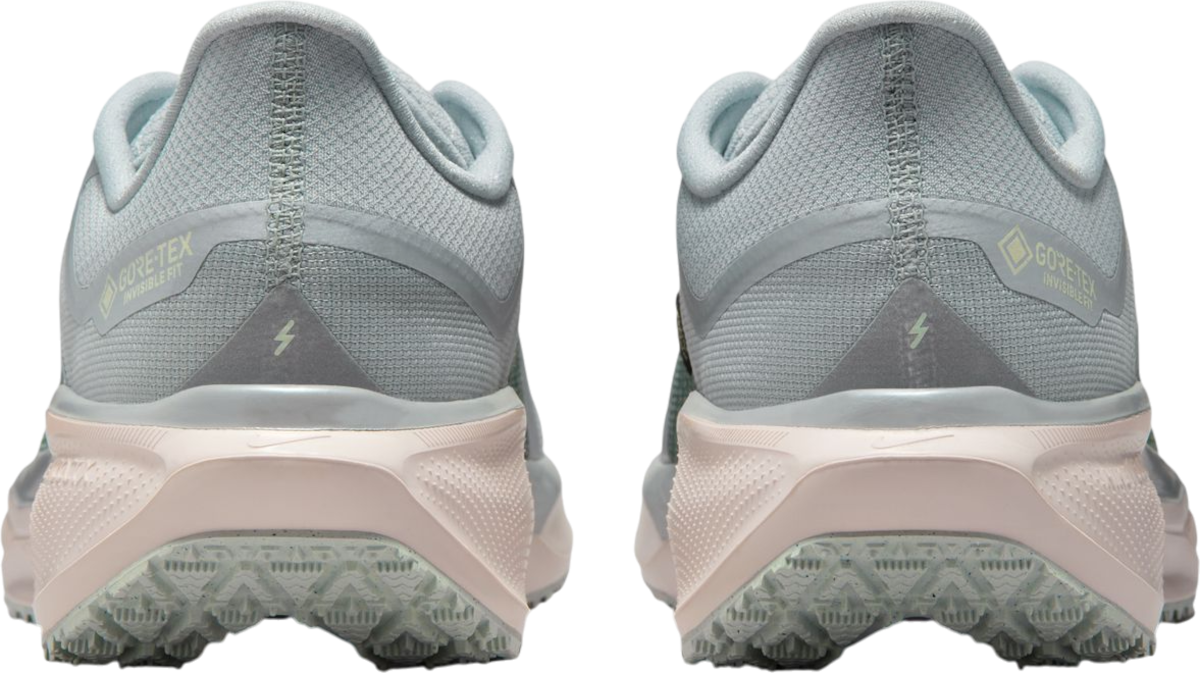 Tenisky a topánky Nike Pegasus 41 GORE-TEX Rôznofarebný | fq1356-007, 1