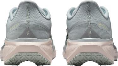 Tenisky a topánky Nike Pegasus 41 GORE-TEX Rôznofarebný | fq1356-007, 1