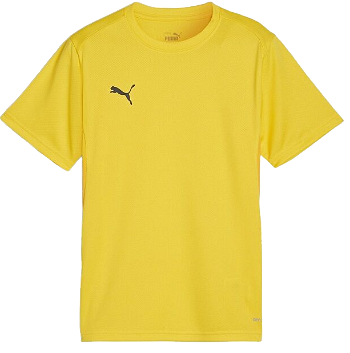 Puma teamGOAL T-Shirt 658636-07
