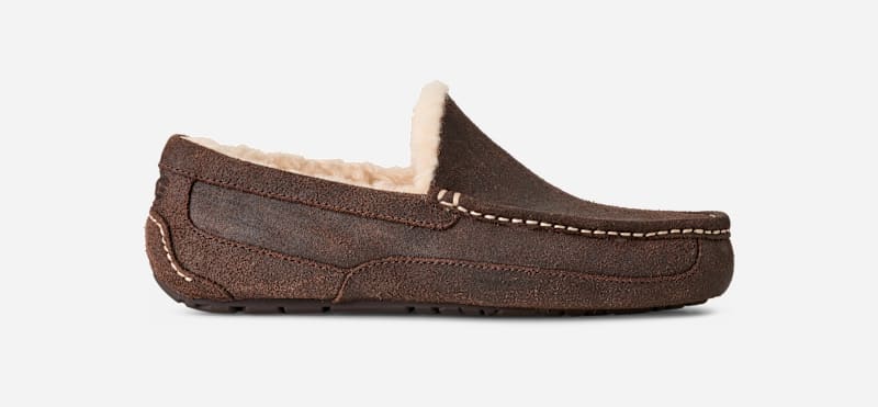Tenisky a topánky UGG UGG Ascot Distressed Slippers Hnedá | 1171296-DDC
