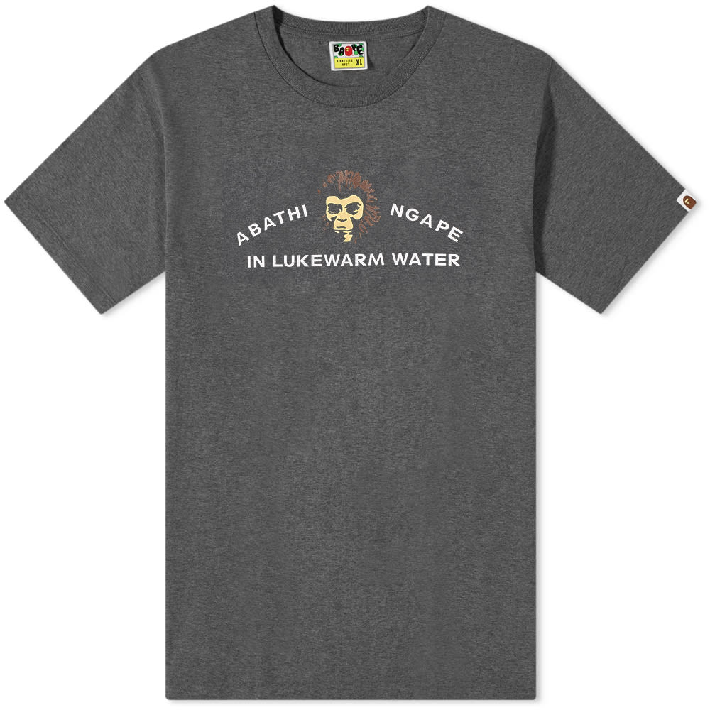 Tričko BAPE A Bathing Ape Archive POTA Tee Šedá | 001TEI201016F-CHA, 0