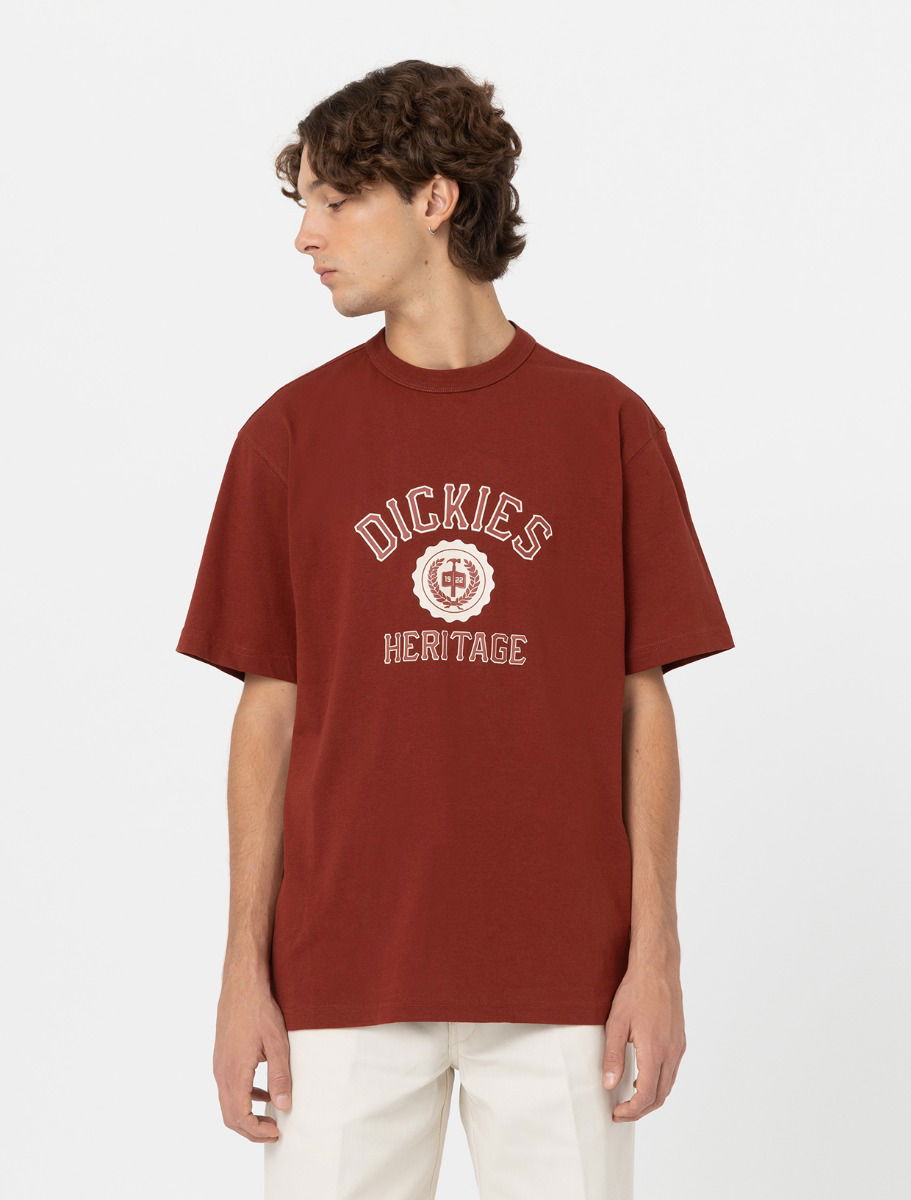 Tričko Dickies Oxford T-Shirt Červená | 0A4YFL, 0