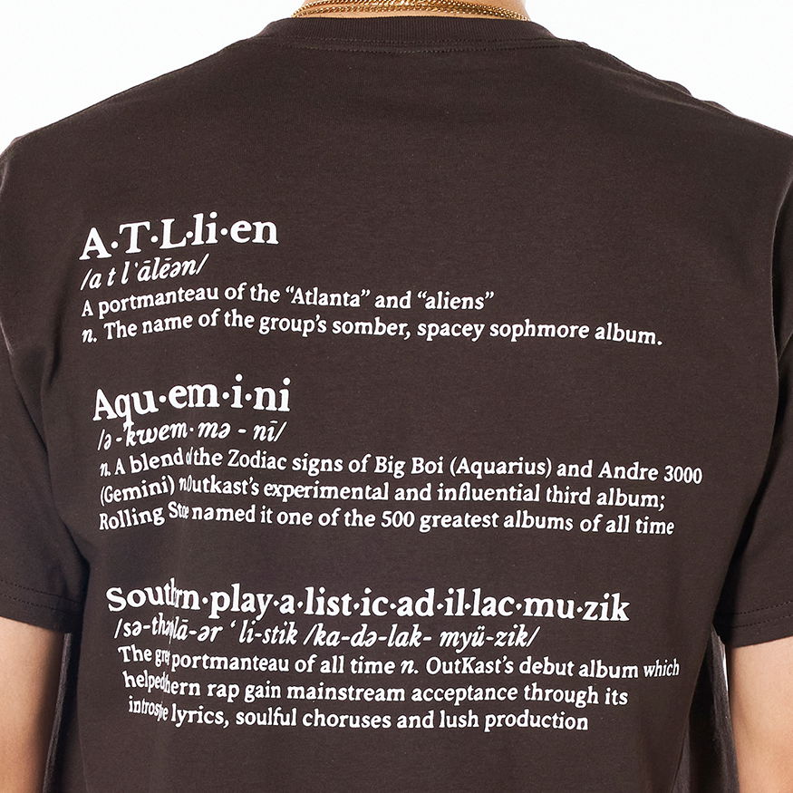 Tričko Pleasures Vocabulary Tee Hnedá | P22SP059-BROWN, 1