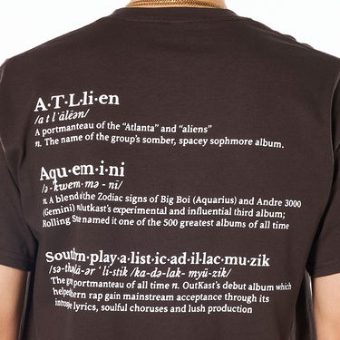 Tričko Pleasures Vocabulary Tee Hnedá | P22SP059-BROWN, 1