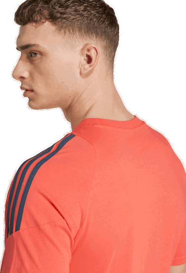 Tričko adidas Originals FC Bayern 2025/26 Tiro24 Competition Sweat Tee Oranžová | jn5613, 2