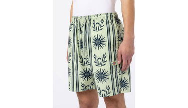 Šortky Dickies Kelso Short Rôznofarebný | DK0A4XNDC34, 4