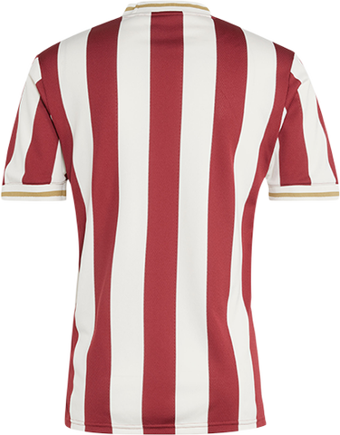 Dres adidas Originals 1. FC Nürnberg 125th Anniversary Special Jersey by adidas Originals Červená | 5fcnjg6350, 1