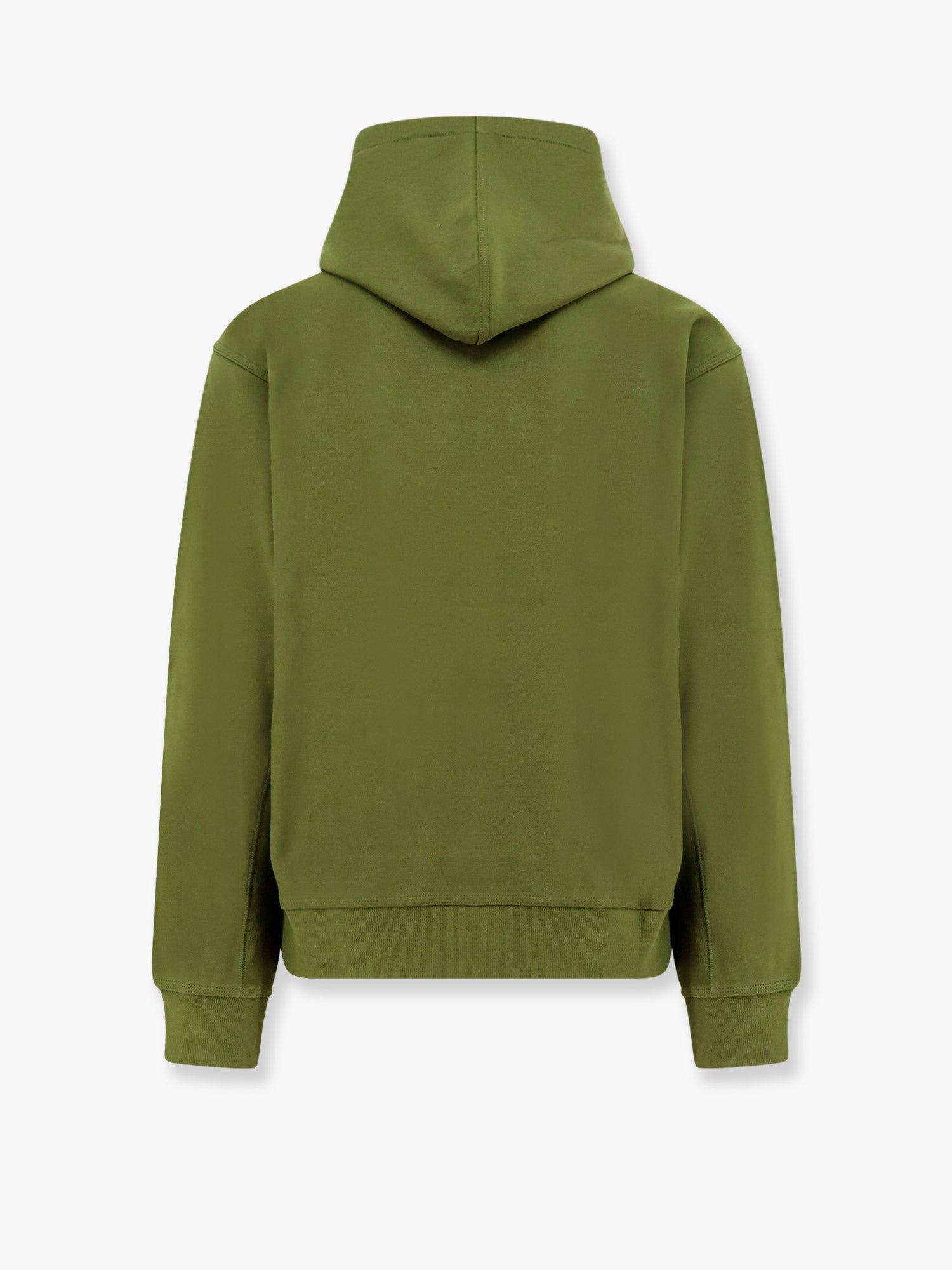 Mikina Carhartt WIP WIP Script Hoodie Zelené | I0282792BRXX, 1