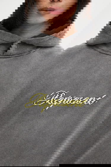 Mikina Represent Clo Represent Script Logo Hoodie Šedá | MLM100028, 3