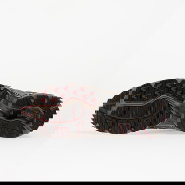 Tenisky a topánky Mizuno Wave Rider 10 Hnedá | D1GA243112, 1