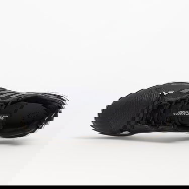 Tenisky a topánky adidas Performance Terrex Skychaser 2 Čierna | HR1293, 2