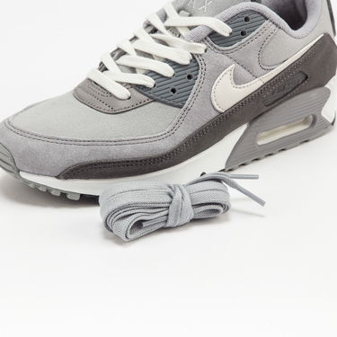 Tenisky a topánky Nike Air Max 90 Premium Šedá | DA1641-001, 4