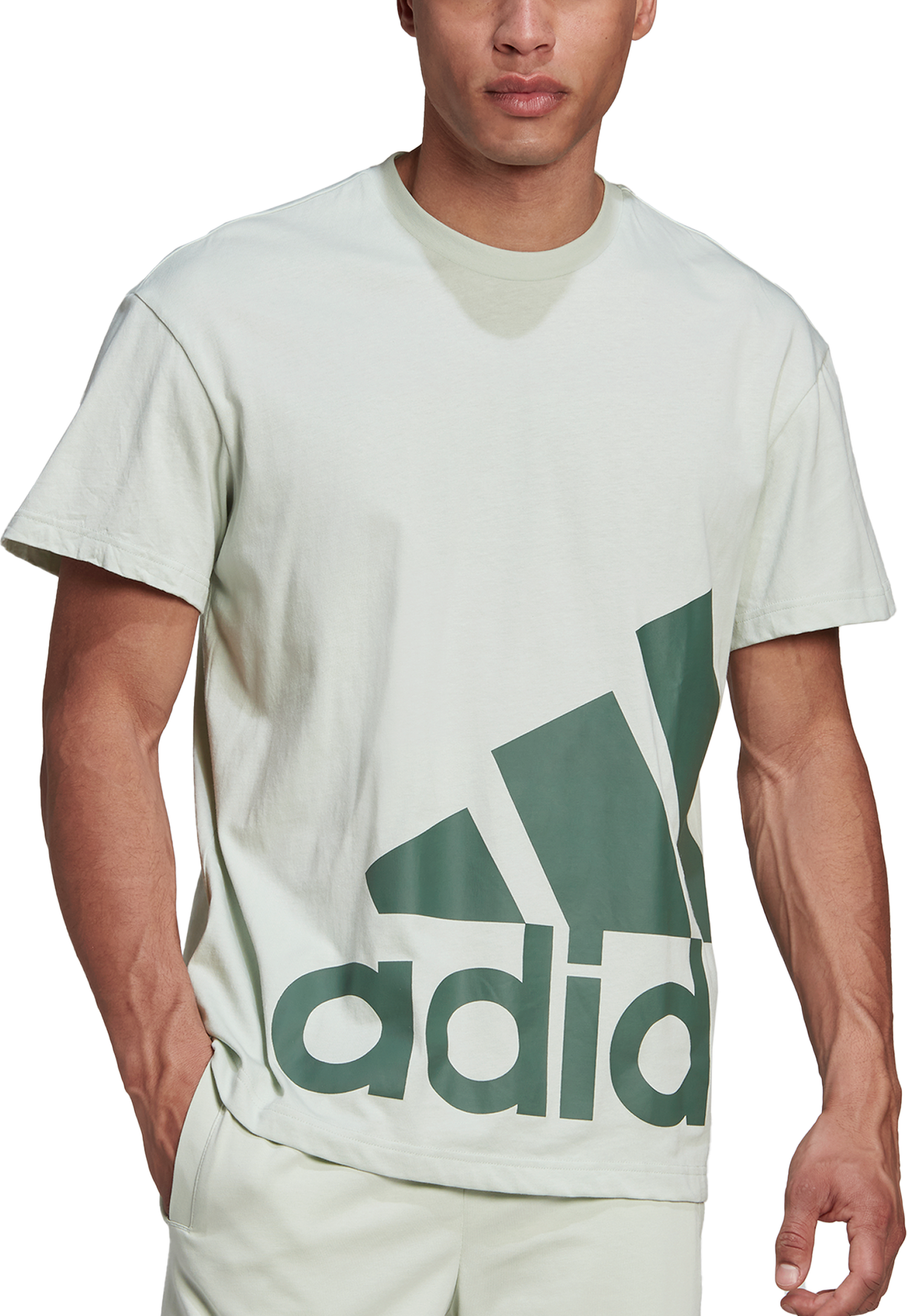 Tričko adidas Originals GL Tee Zelené | hl2218, 0