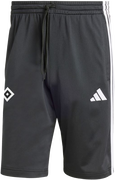 Hamburger SV Training Shorts