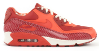 Air Max 90 Steve Nash