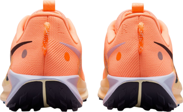 Tenisky a topánky Nike Pegasus Trail 5 Oranžová | dv3864-800, 1