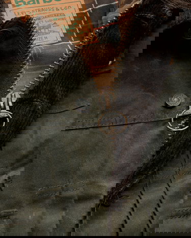 Bunda Levi's Type II Waxed Trucker Jacket Zelené | 008GN00050 001, 3