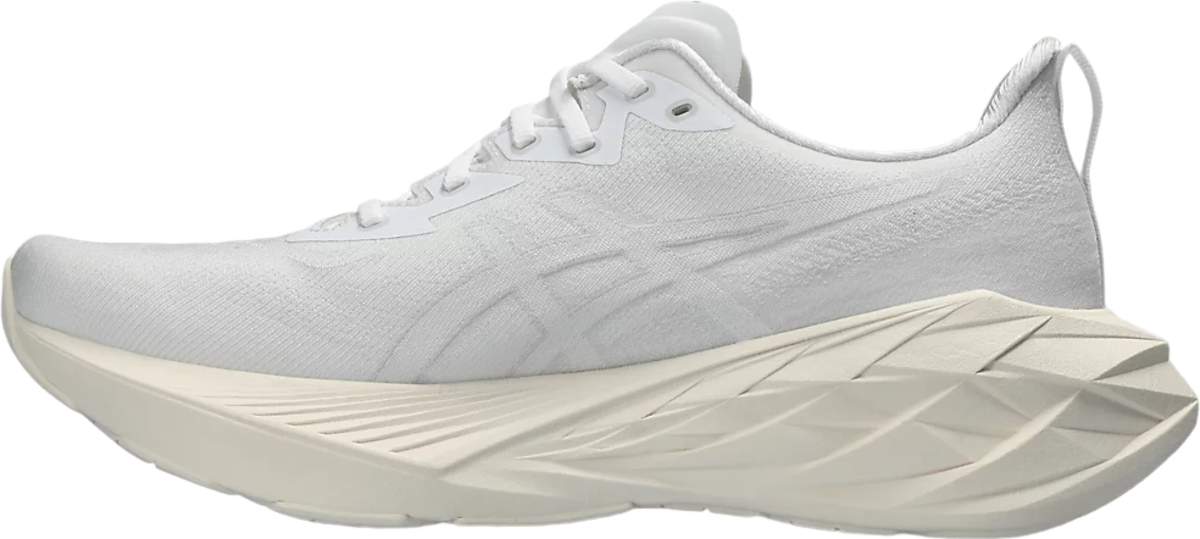 Tenisky a topánky Asics NOVABLAST 4 Šedá | 1011b693-102, 1