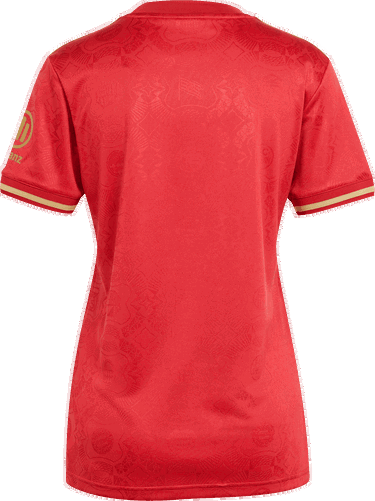 Tričko adidas Performance FC Bayern Anniversary Jersey Červená | JE6783, 2
