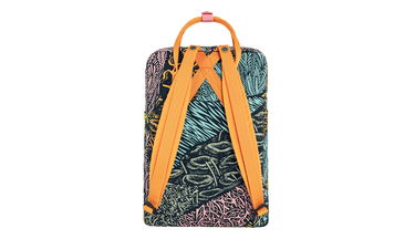 Batoh FJÄLLRÄVEN Kånken Art Plus Backpack Rôznofarebný | F23634-966, 2