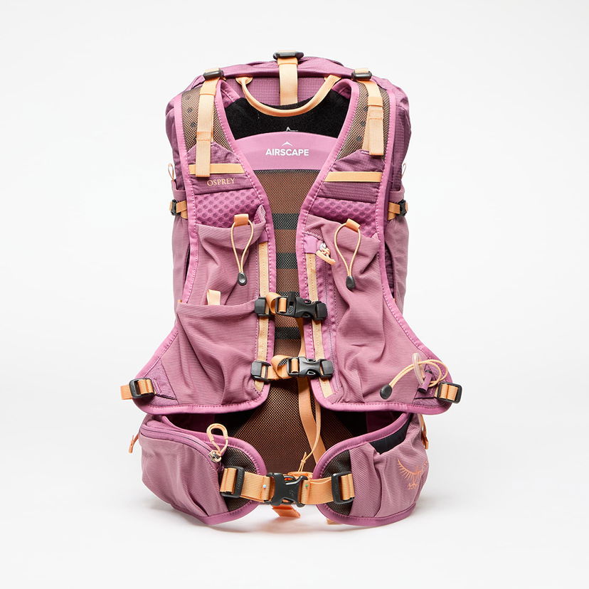 Batoh Osprey Velocity 20 Backpack Fialová | 10043048OSP.01.WML
