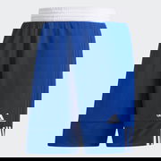 3G Speed Reversible Shorts