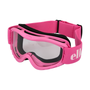 Ski Goggles